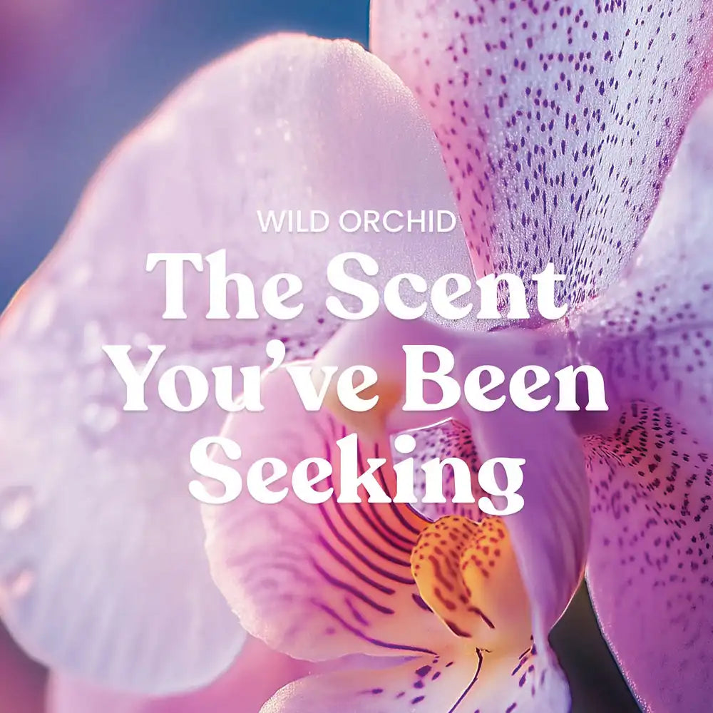 yankeecandlemell.it.com
